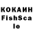 COCAIN Fish Scale Roma Berd