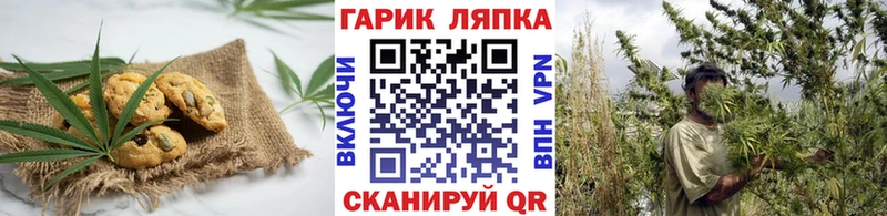 Canna-Cookies конопля  Нязепетровск 
