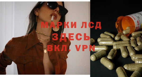 стаф Гусев