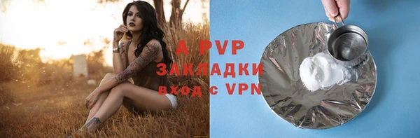стаф Гусев