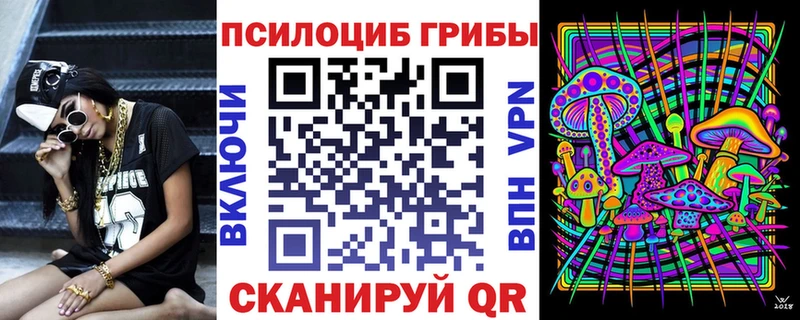 Псилоцибиновые грибы ЛСД  darknet клад  Нязепетровск  купить  сайты 